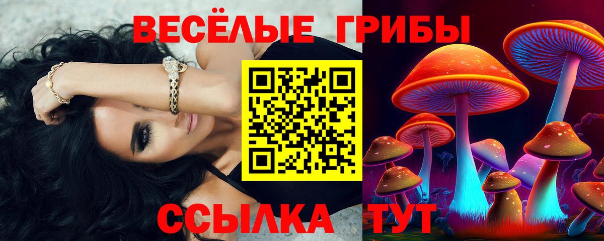 Лобня  Галлюциногенные грибы Psilocybine cubensis  Вход с VPN 